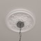 Ekena Millwork Katheryn Ceiling Medallion (Fits Canopies up to 2 1/8"), 14 1/2"OD x 2 3/4"P, Primed White CM14KT - alternate 5